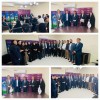 معرفی سرپرست مدیریت منطقه جنوب بیمه آرمان